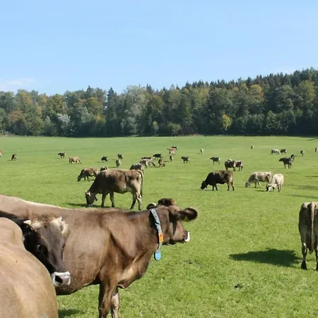 Roesslerhof Obstwiese *