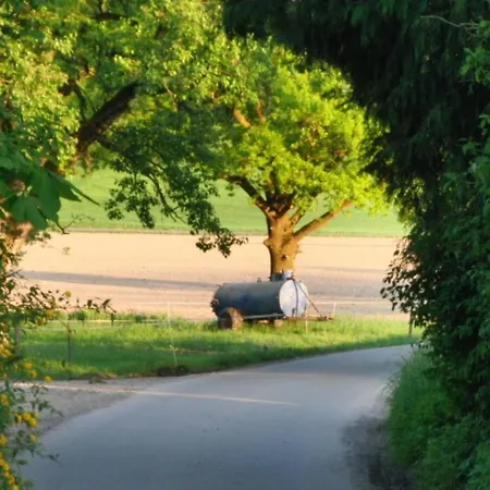 Roesslerhof Obstwiese Appartamento *