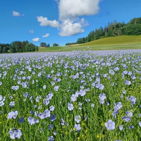 Roesslerhof Obstwiese Schlier